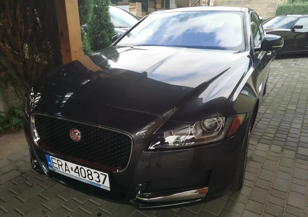 Jaguar XF cena 83900 przebieg: 81600, rok produkcji 2016 z Wyśmierzyce małe 67